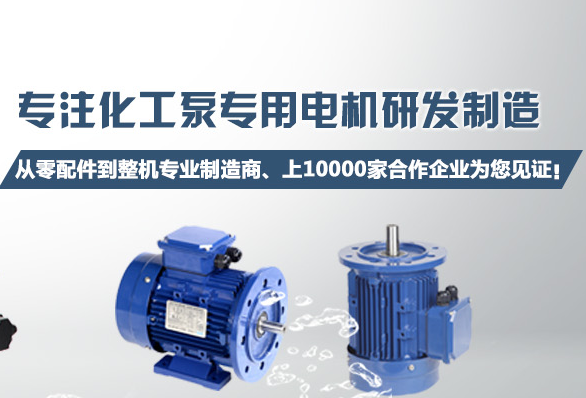 化工泵長軸電機(jī)